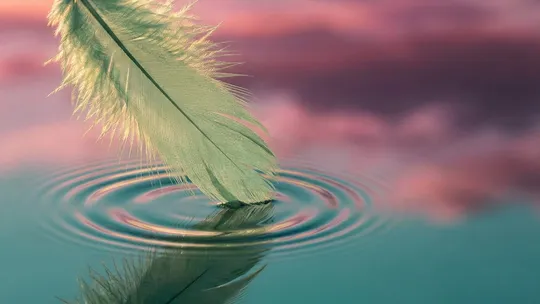 Sage green feather touching still water creating gentle ripples against a teal and magenta sunset sky, representing the sensitivity beneath demand avoidance responses.